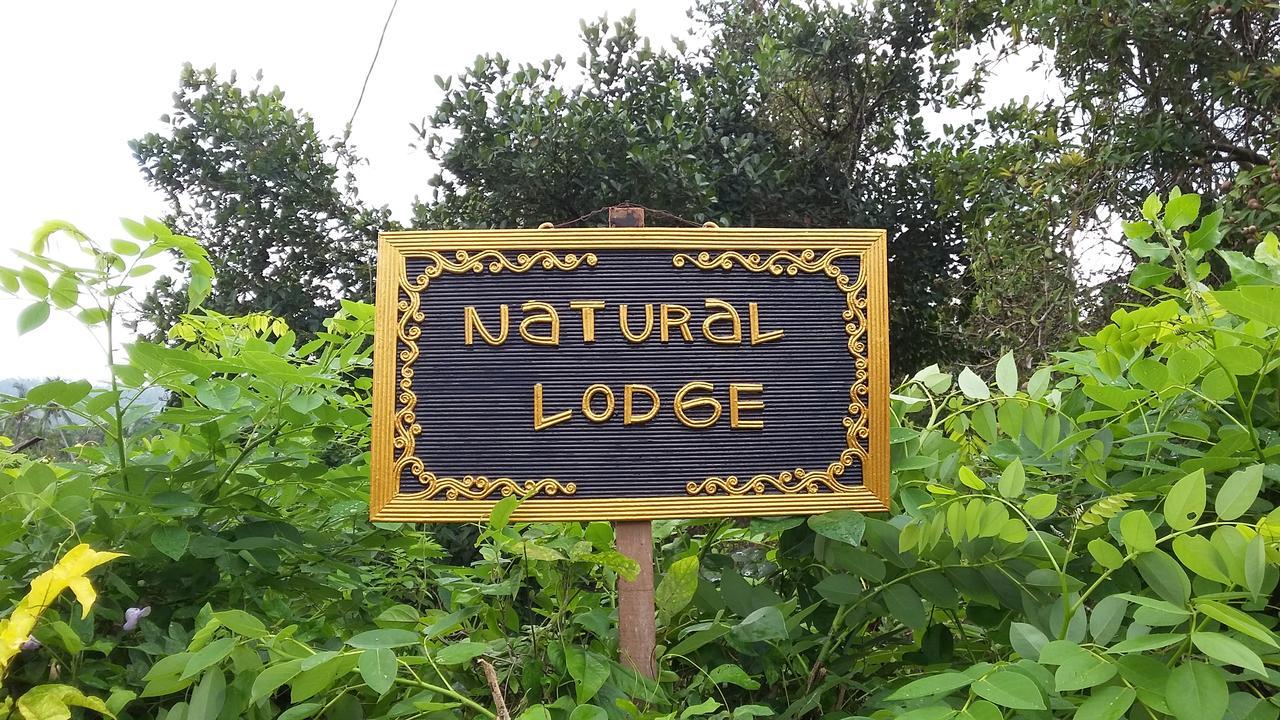Natural Lodge 2 Selemadeg  Eksteriør billede